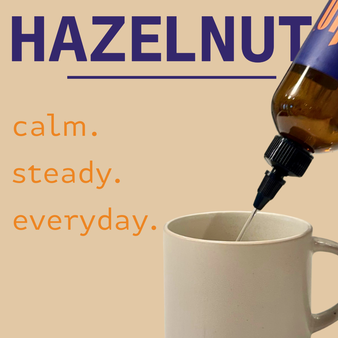 Dioko Premium Simple Syrup, 12 fl. oz Hazelnut