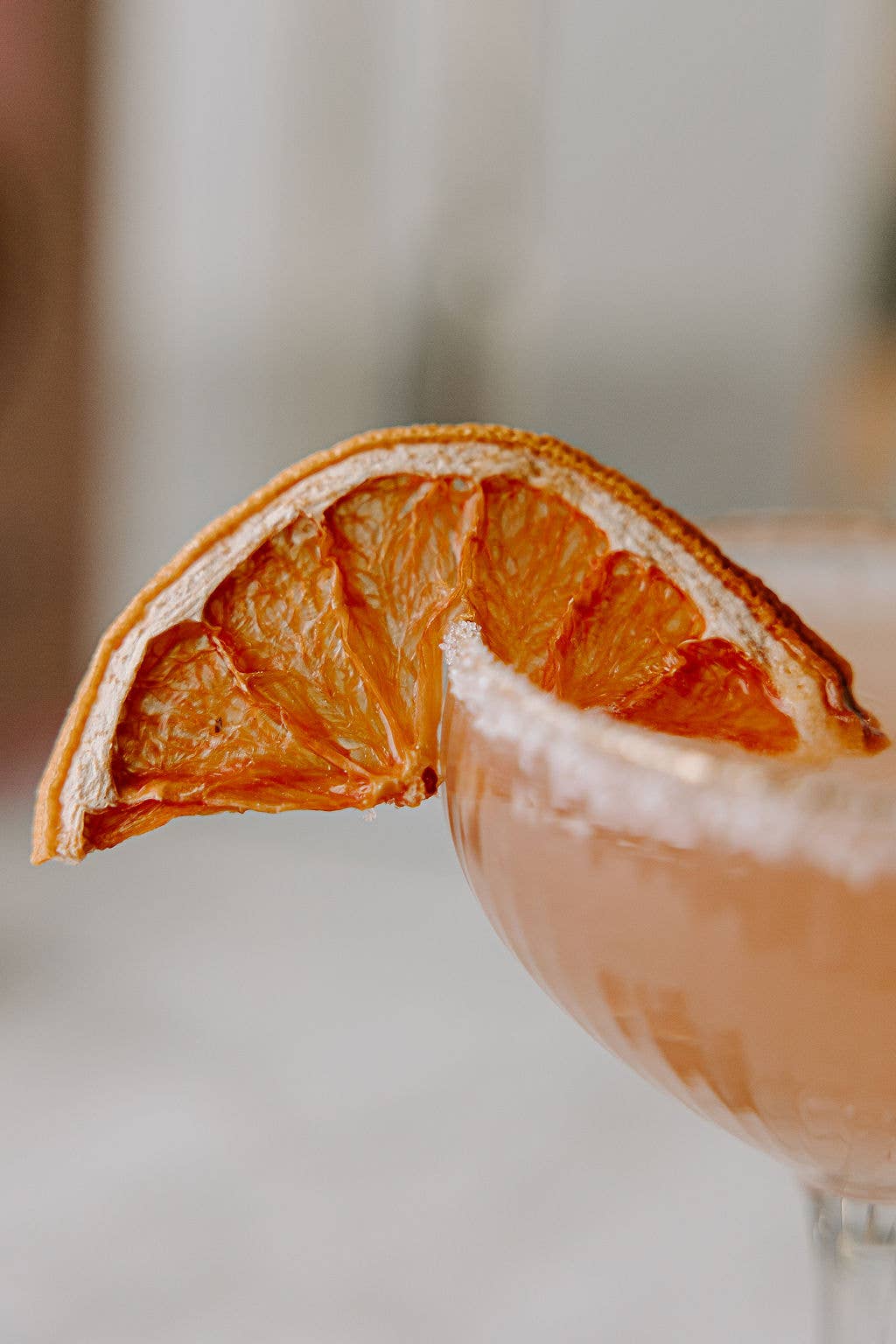 NEW Beverage Garnish Bundles: Glass Rimmer + Dried Fruit