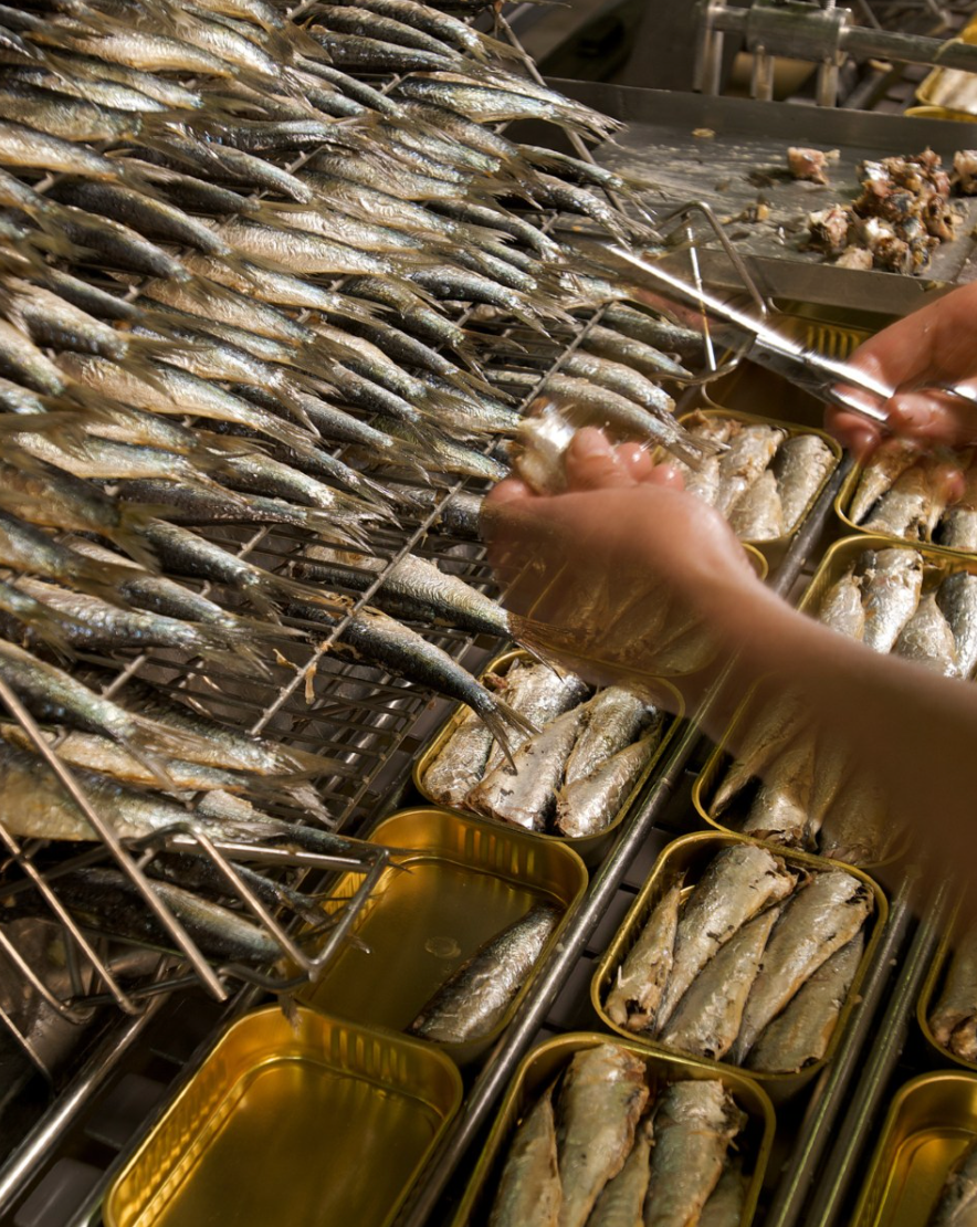 Mouettes d'Arvor Sardines w/ Lemon & Extra Virgin Olive Oil